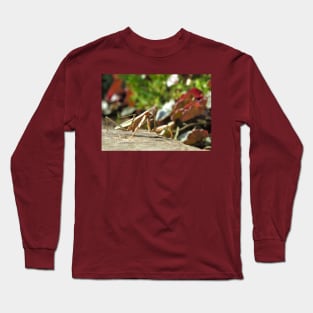 Praying Mantis No.1 Long Sleeve T-Shirt